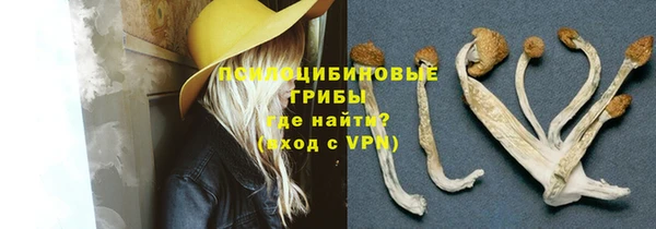 герыч Алексин