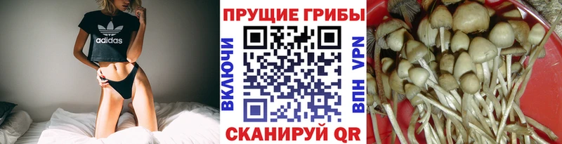 Псилоцибиновые грибы ЛСД Коркино